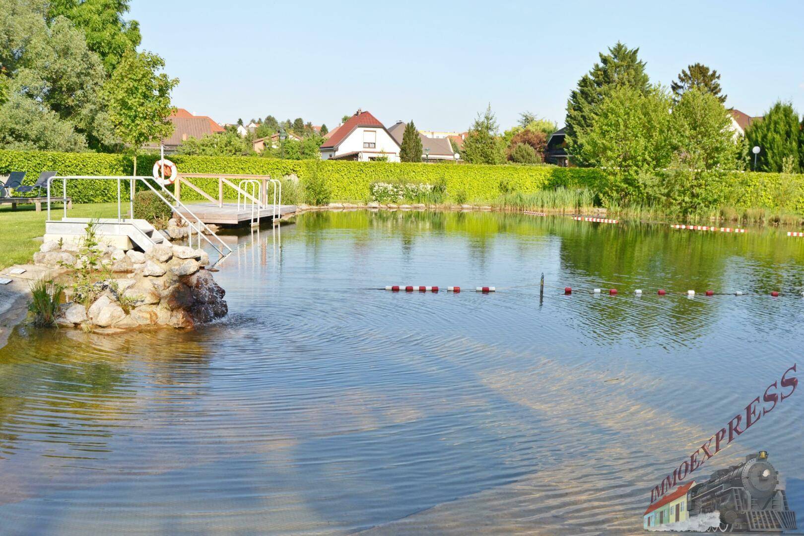 Großer Schwimmteich mit Steg und Bojen in einer weitläufigen Grünanlage.