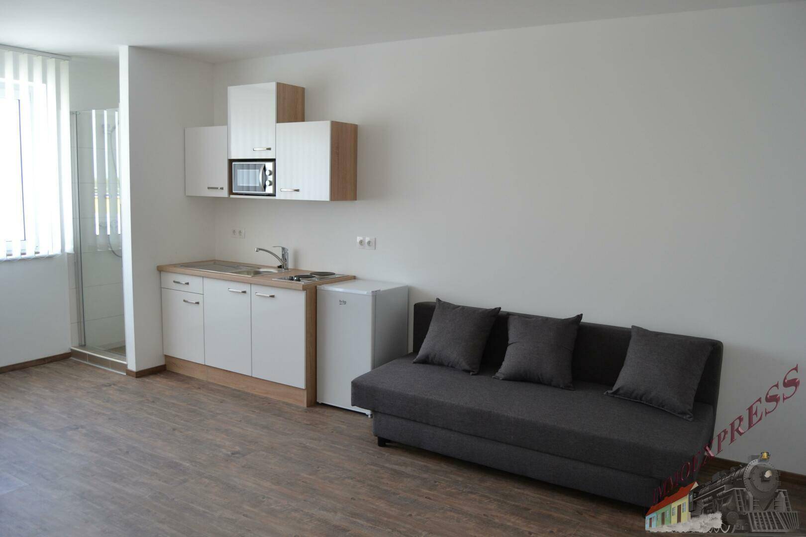 Gemütliches Studio-Apartment mit Küchenzeile und bequemem Schlafsofa, ideal für kompaktes Wohnen.