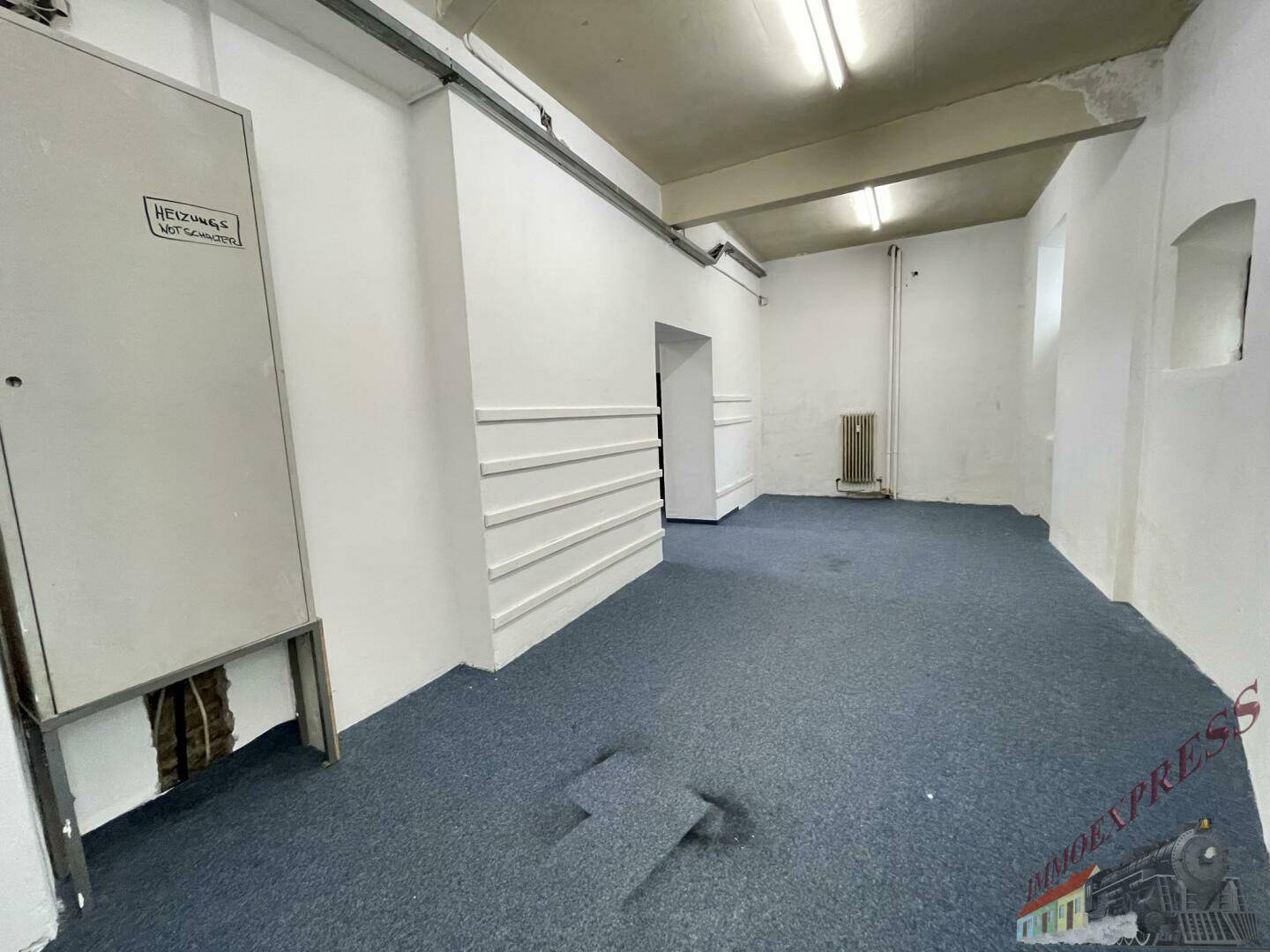 Kellerraum mit blauem Teppichboden, kleinen Fenstern und sichtbaren Heizungsrohren, renovierungsbedürftig.