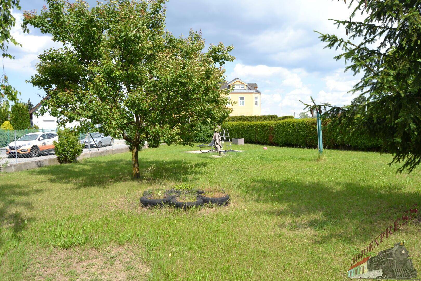Großer Garten mit Rasen, Obstbaum und Hecke, ideal für Freizeitaktivitäten im Freien.