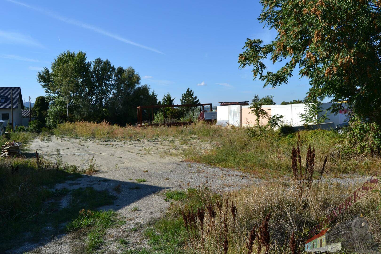 Unbebautes Grundstück mit dichter Vegetation und Bäumen, im Hintergrund weitere Gebäude und ein blauer Himmel.
