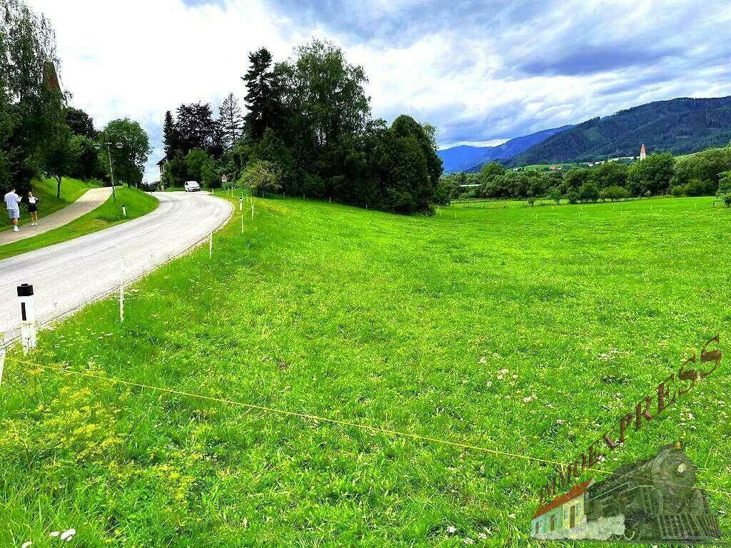 Grüne Wiesenfläche neben einer Landstraße mit Spaziergängern und Blick auf die Bergwelt.