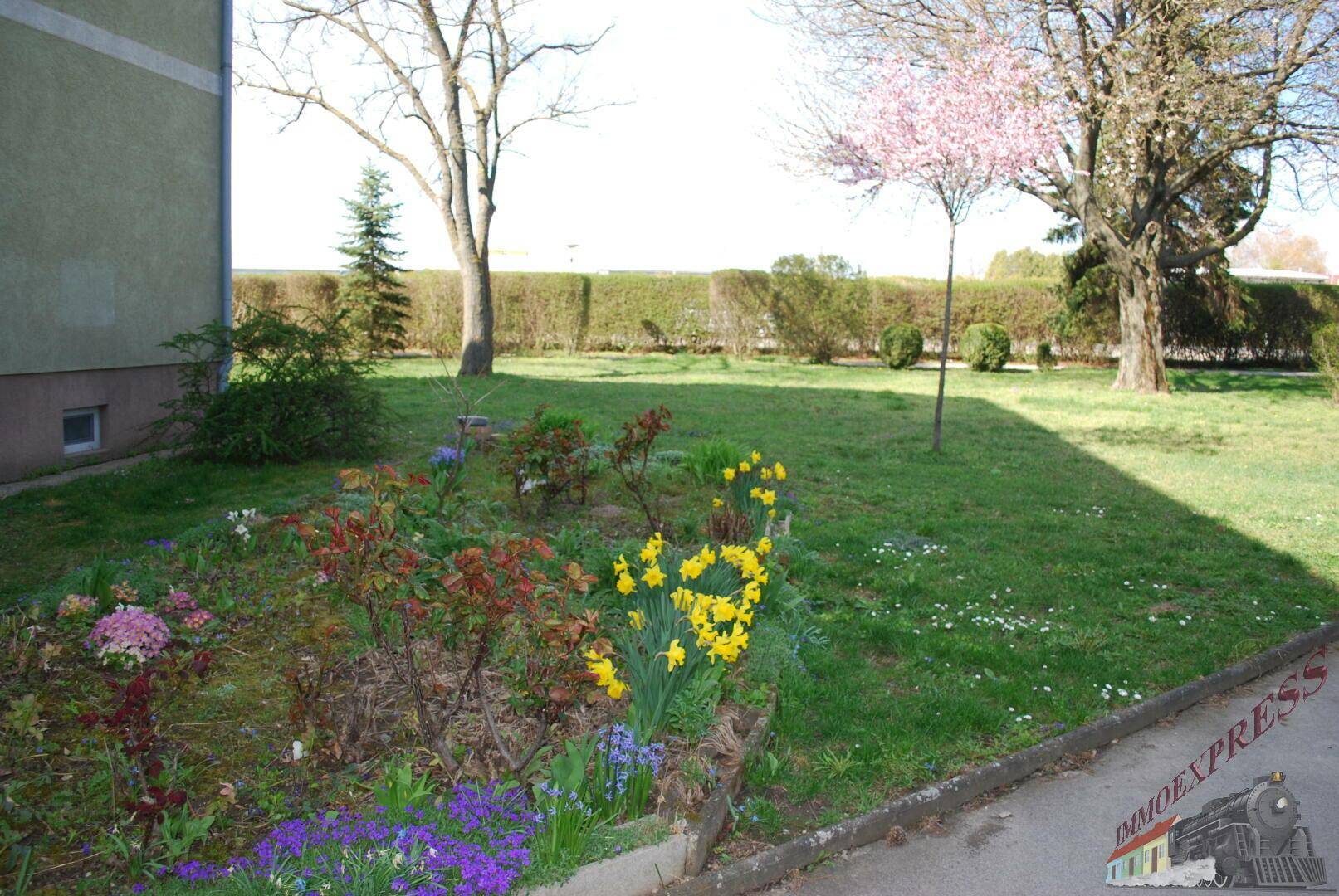 Gepflegter Gartenbereich mit blühenden Blumenbeeten, Rasenfläche und hohen Hecken.