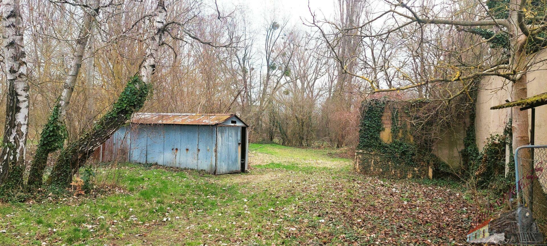 Gemeinschaftsgarten