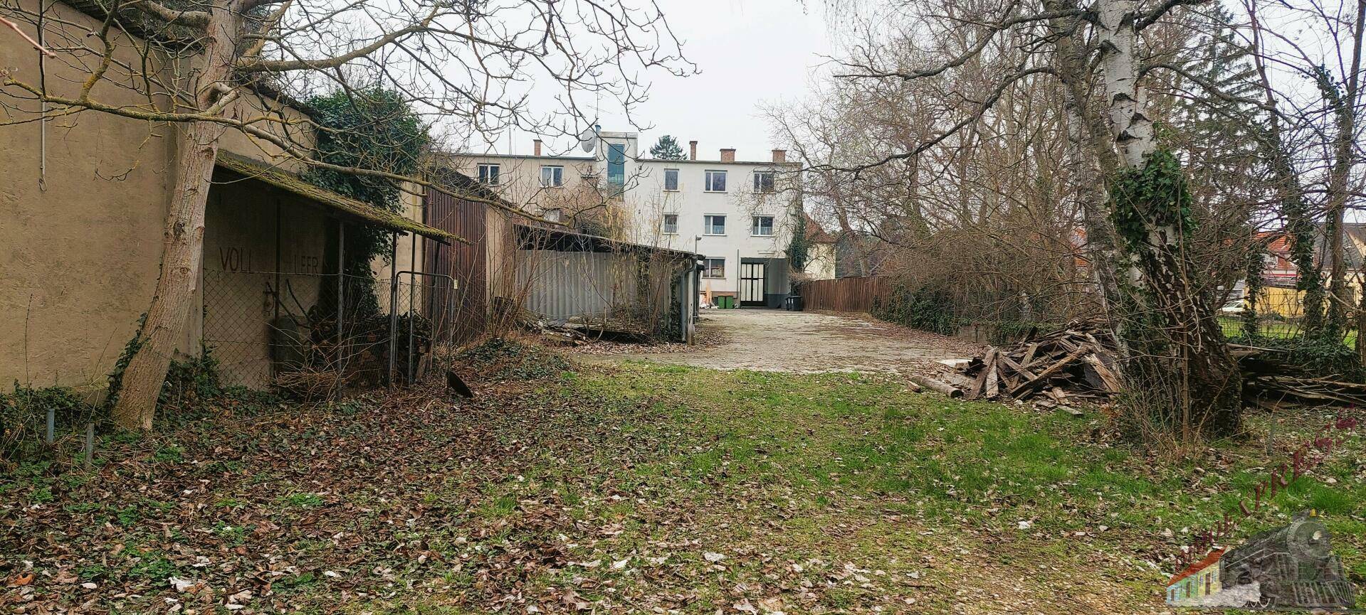 Blick auf das Wohnhaus vom Gemeinschaftsgarten