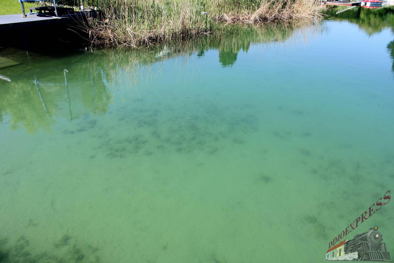 Ruhiger See mit klarem Wasser und Schilf am Ufer unter strahlendem Himmel.