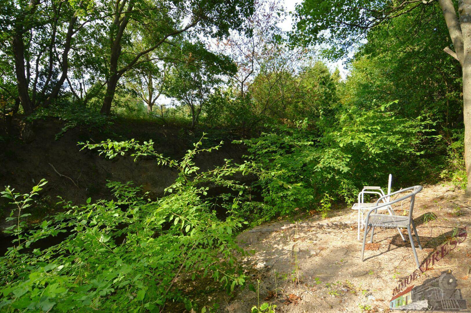 Naturbelassener Gartenabschnitt mit einfacher Sitzgelegenheit und üppiger Vegetation am Hang.