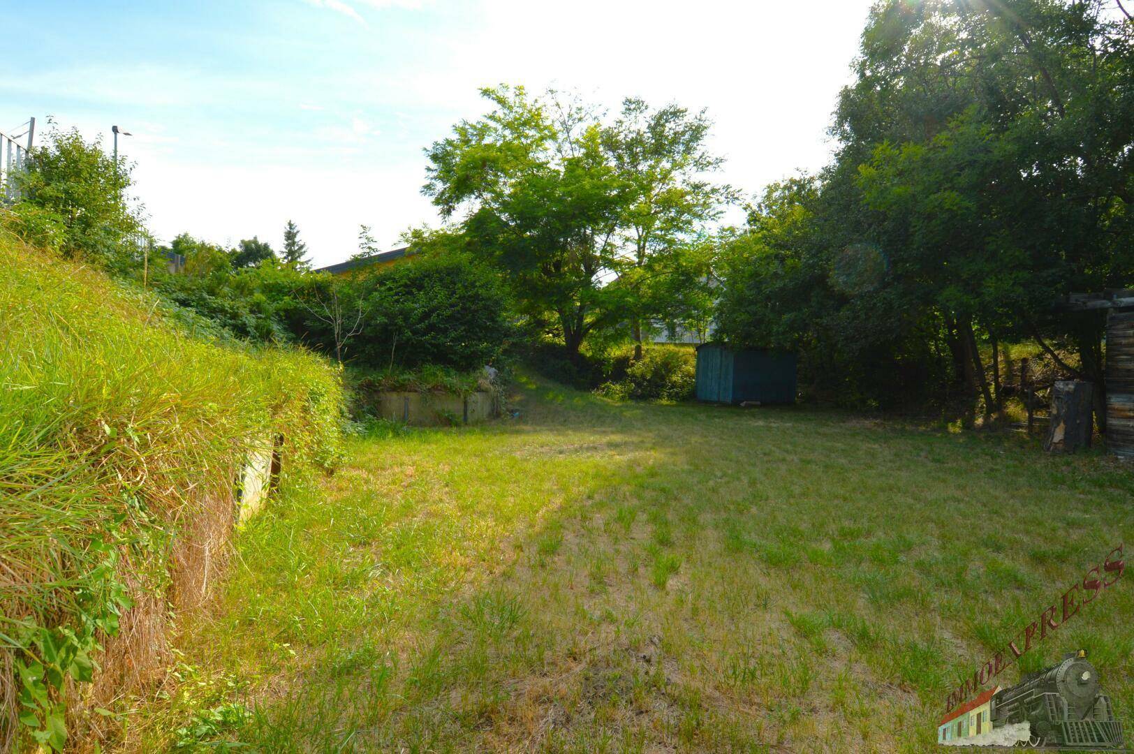 Offener Gartenbereich mit Rasenfläche, einem kleinen Schuppen und viel Grün.
