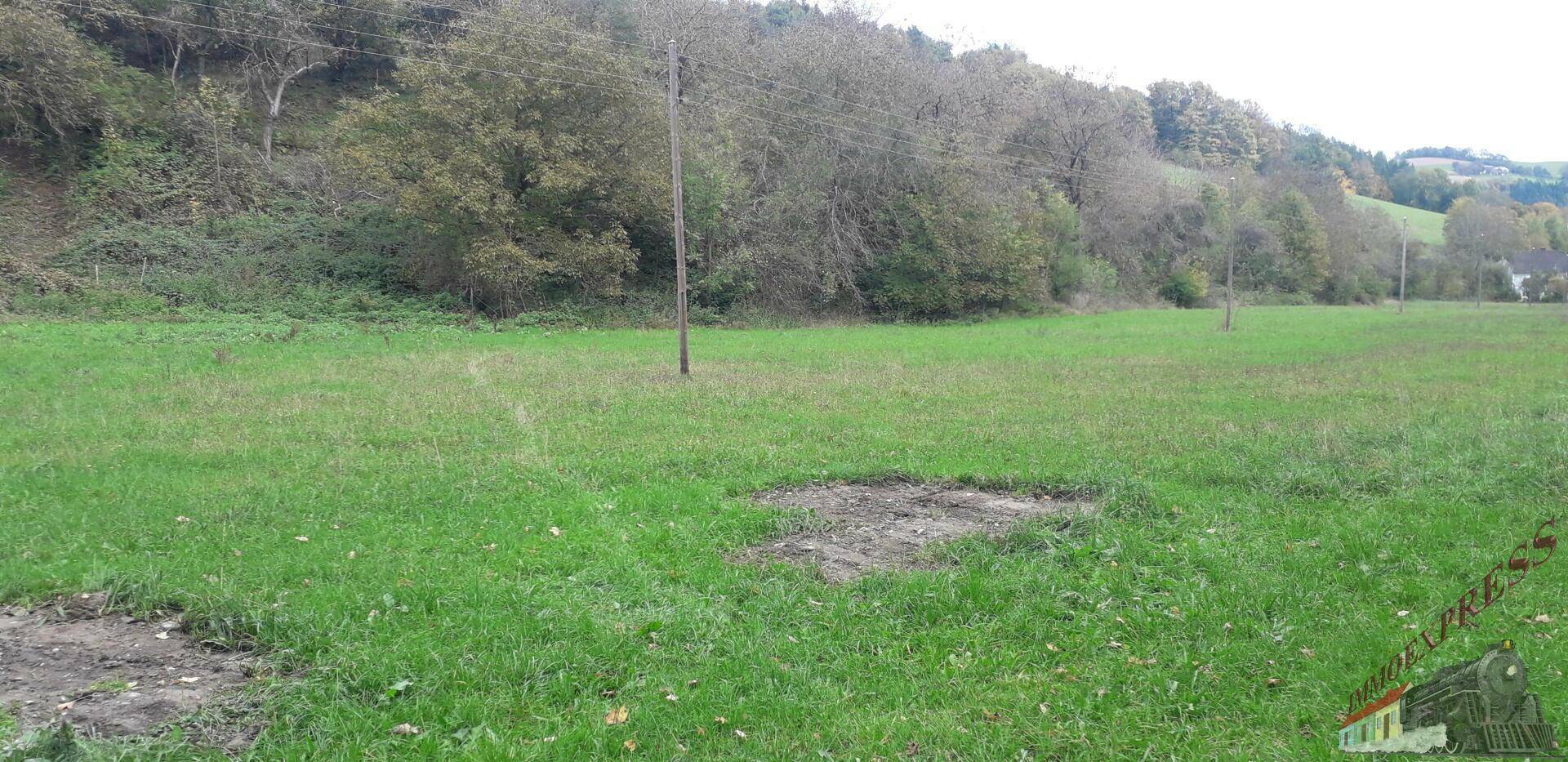 Weitläufige grüne Wiese mit Bäumen im Hintergrund, ideal für Gartenaktivitäten.
