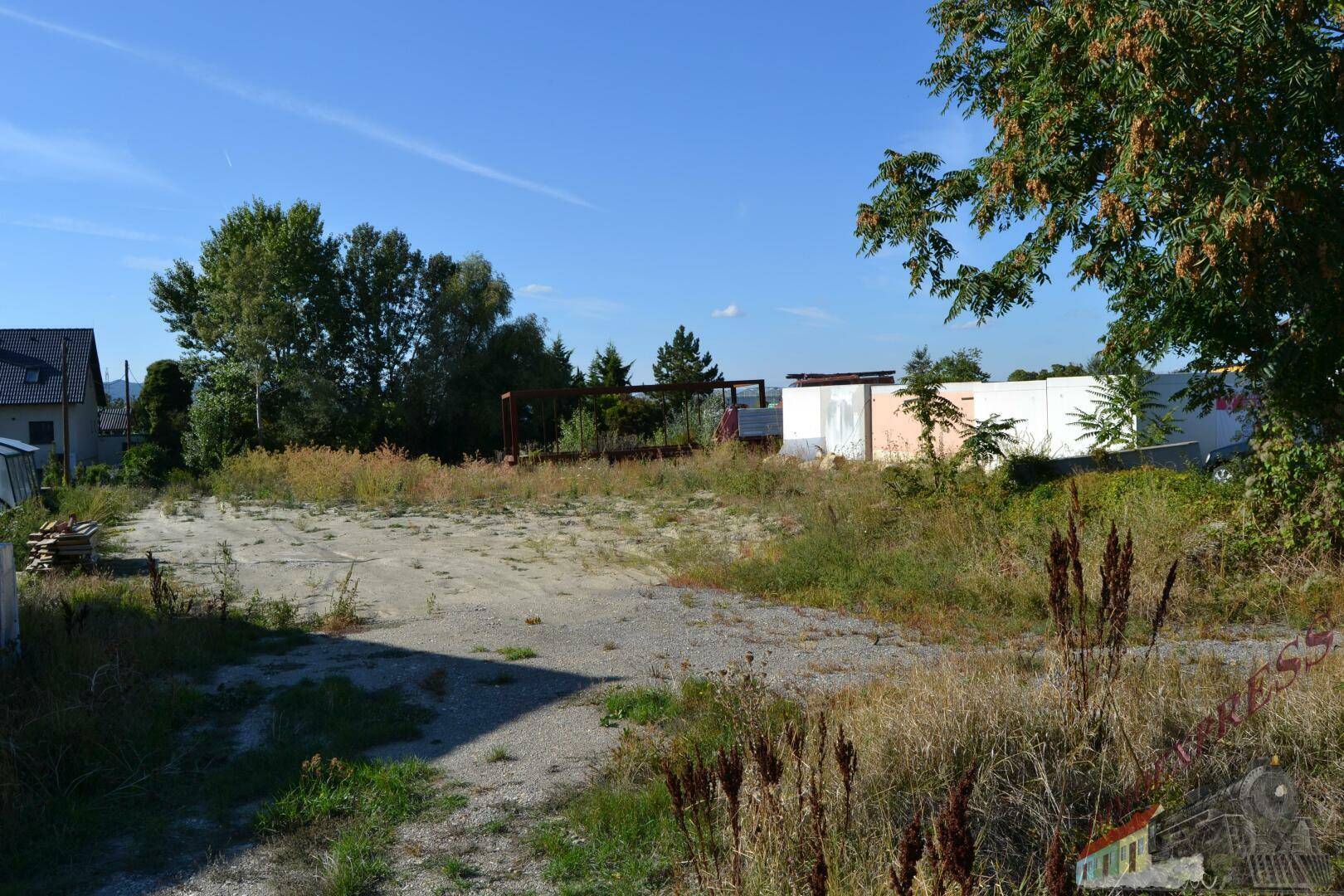 Weitläufiges, unbebautes Grundstück mit hohem Gras und Bäumen im Hintergrund unter blauem Himmel.