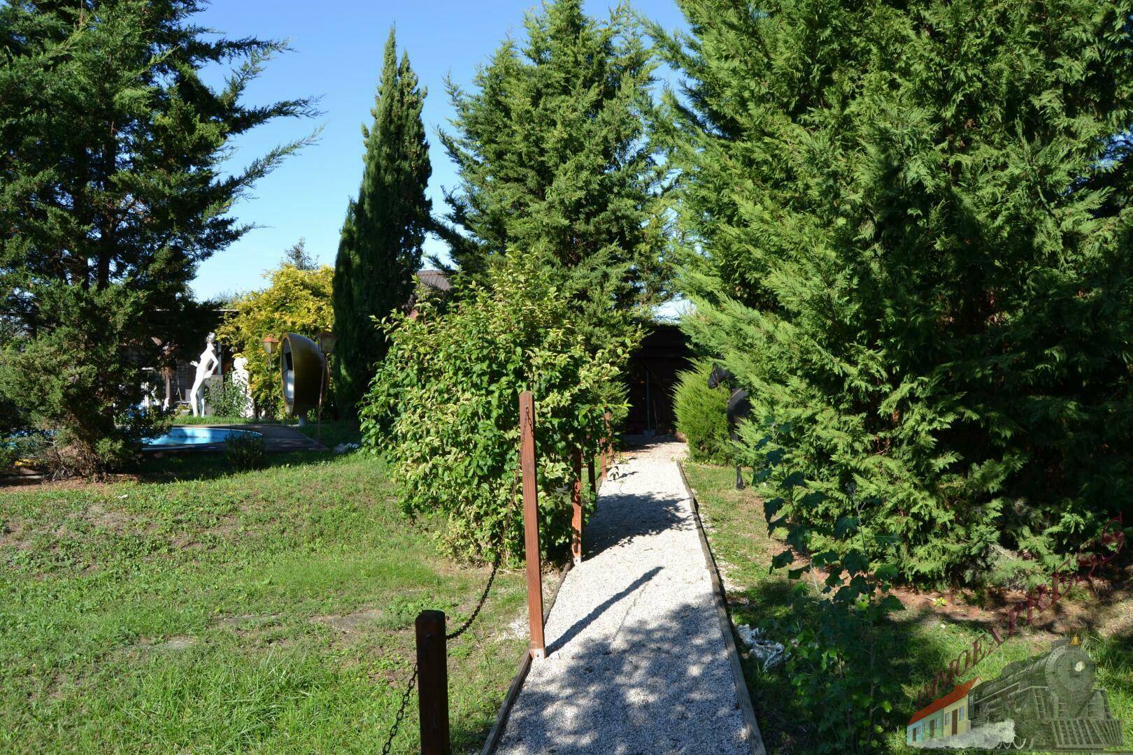Kiesweg führt durch dichte Nadelbäume zu einem versteckten Bereich mit Pool unter blauem Himmel.