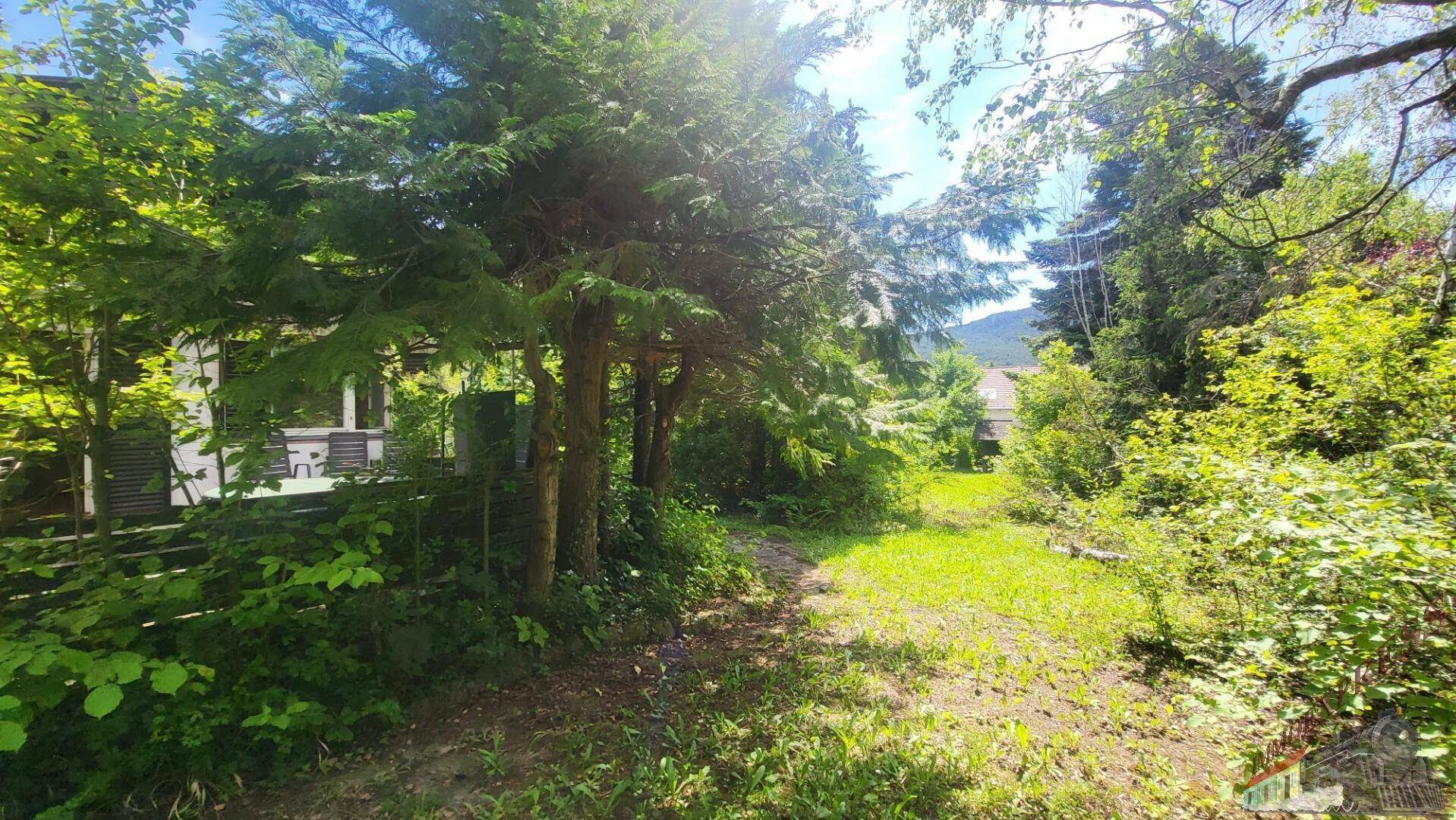 Weitläufiger Gartenbereich mit Rasenfläche und altem Baumbestand, umgeben von Natur.