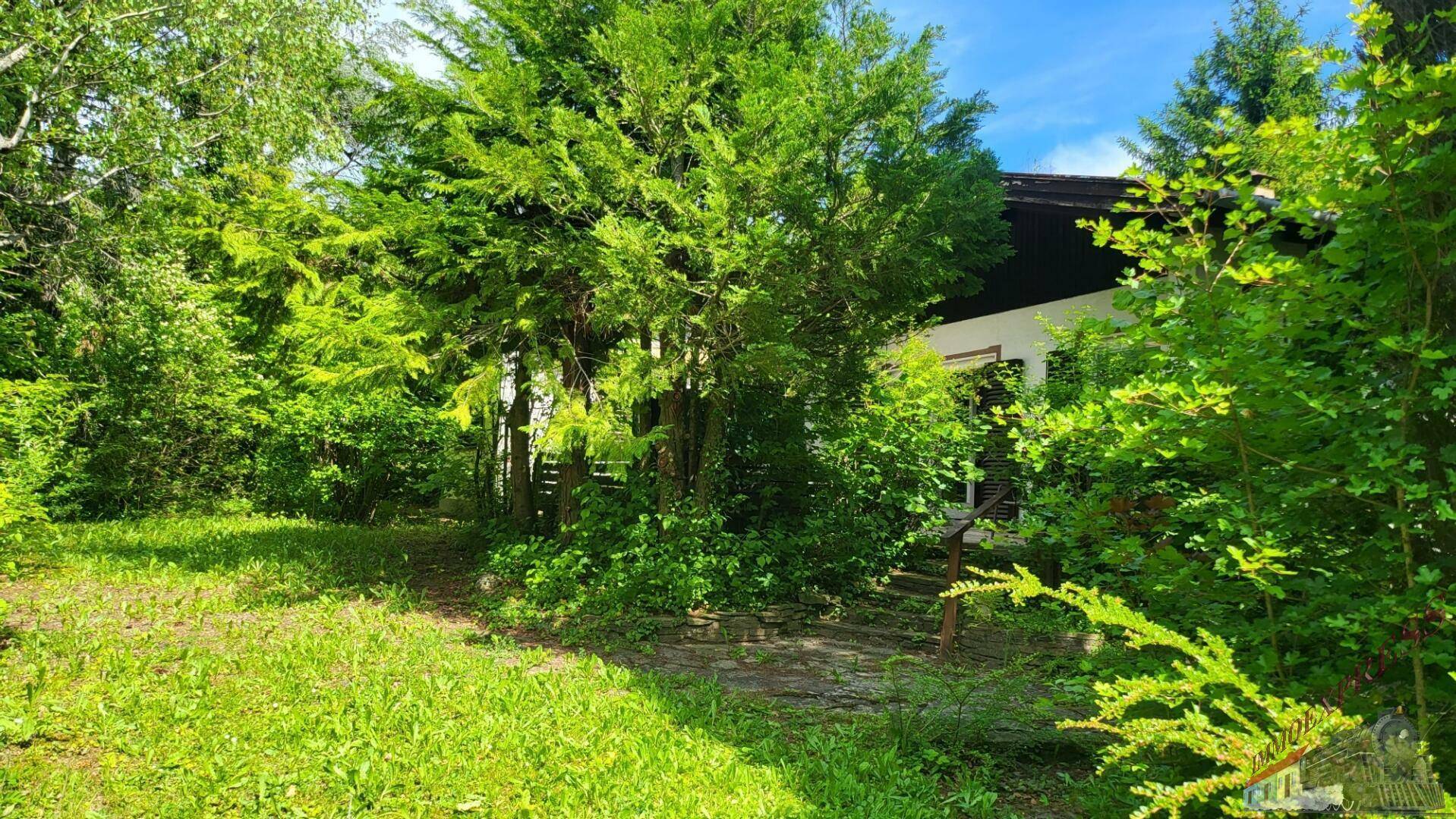 Blick vom Garten auf das Haus, umgeben von gepflegtem Rasen und hohen Bäumen.