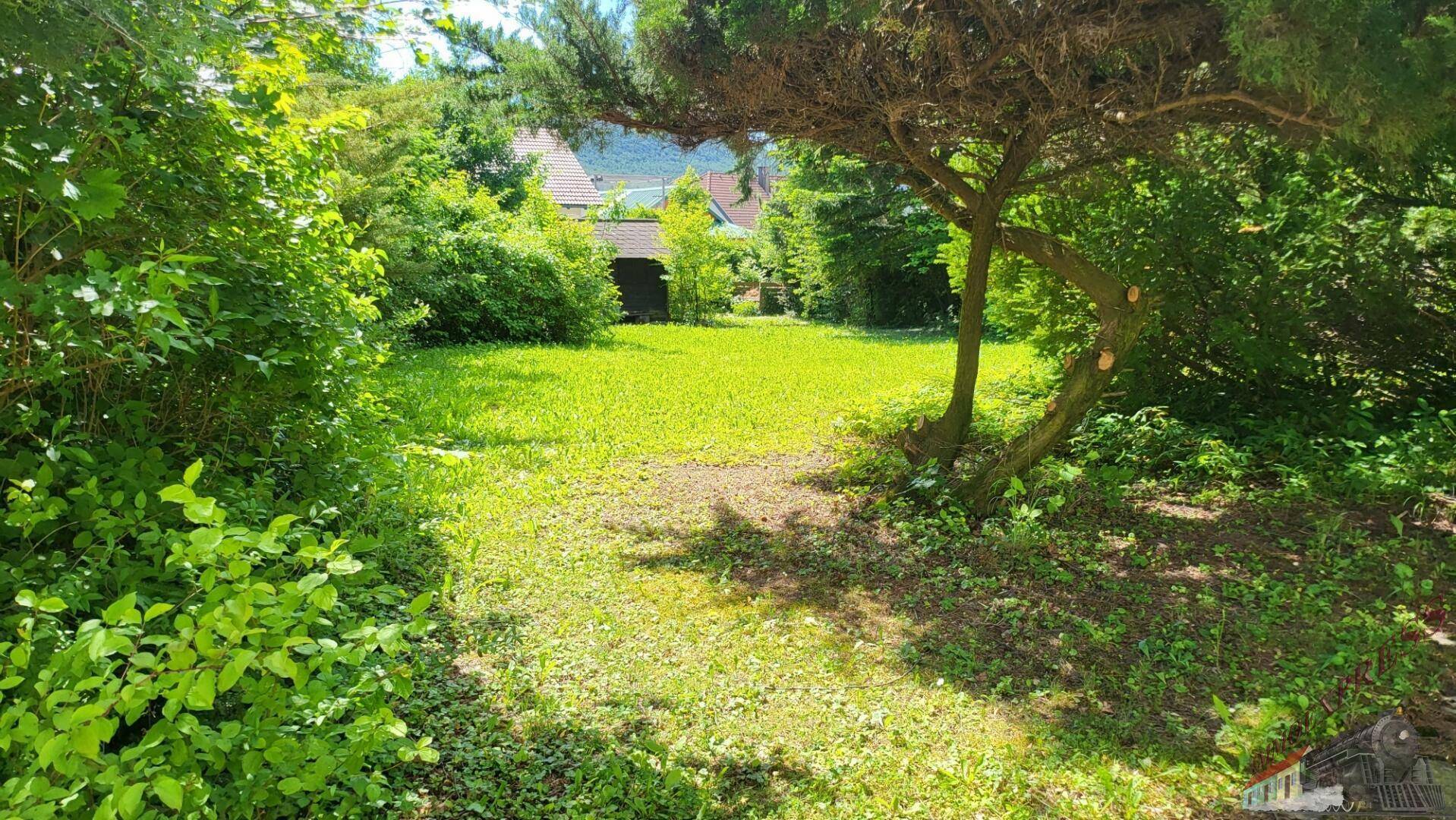 Idyllischer Gartenbereich mit altem Baum und weitem Blick in die Natur.
