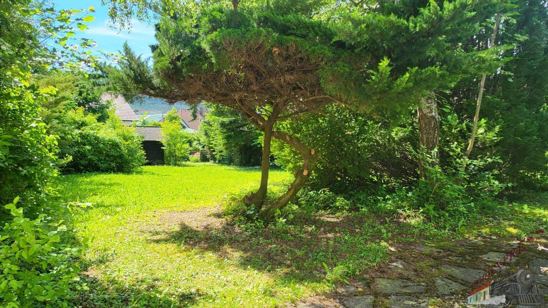 Sonniger Garten mit altem Baum und weitem Blick auf die umliegende Landschaft.