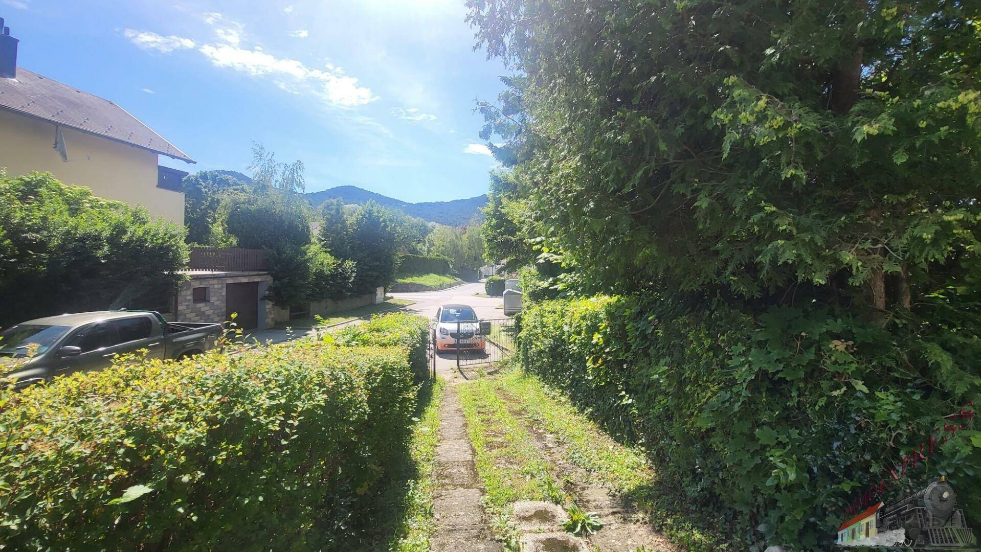 Blick von der Straße auf die Zufahrt zum Haus, umgeben von hohen Hecken und Bäumen.