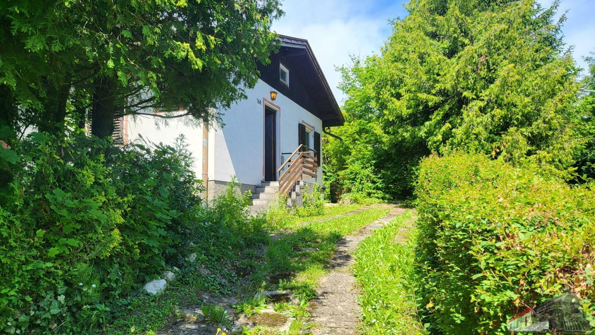 Seitenansicht des Hauses mit Eingangsbereich und Holztreppe, umgeben von viel Grün.