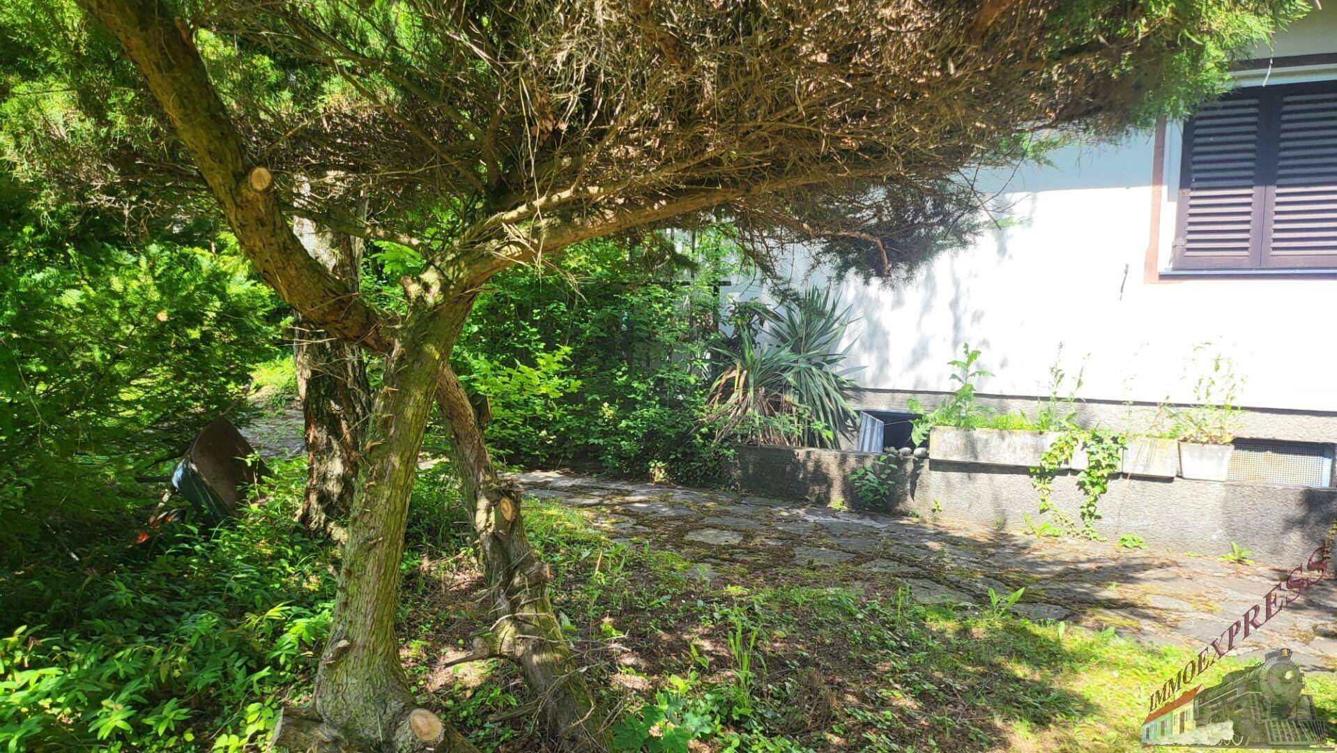Seitenansicht des Hauses mit üppiger Bepflanzung und einem gepflasterten Bereich.