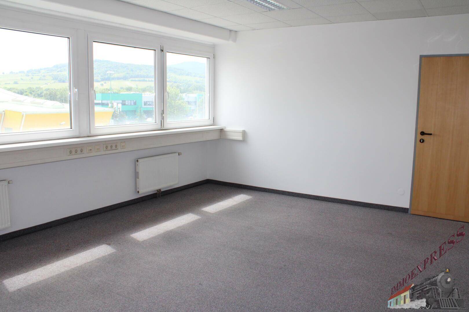 Büro mit Teppichboden und großen Fenstern, die einen Blick auf die Landschaft bieten.