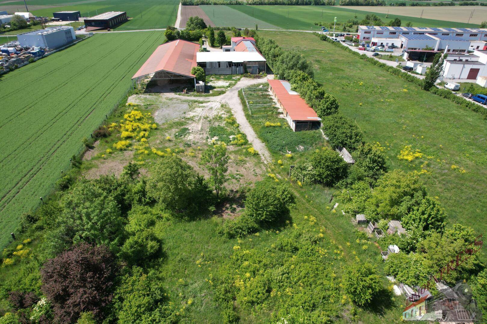 DJI_0067