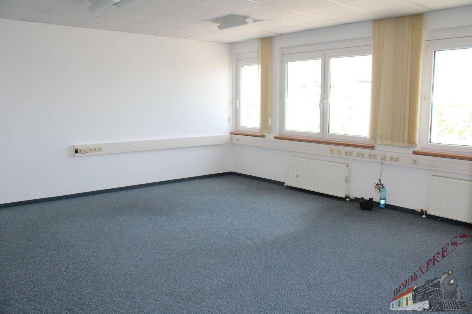 Büroraum mit blauem Teppichboden, weißen Wänden und mehreren Fenstern für ausreichend Tageslicht.