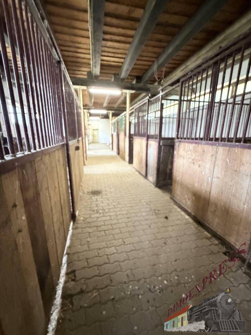 Perspektive eines langen Stallgangs mit Holzwänden und gepflastertem Boden, beleuchtet von Deckenlampen.