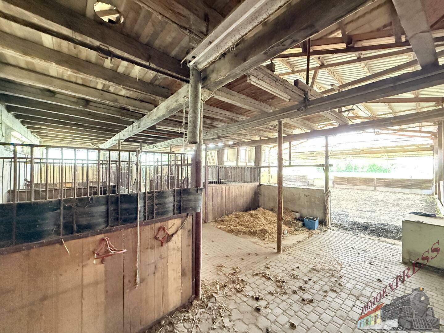 Innenansicht eines Stallgebäudes mit Holzwänden, Boxen und Stroh auf dem gepflasterten Boden.