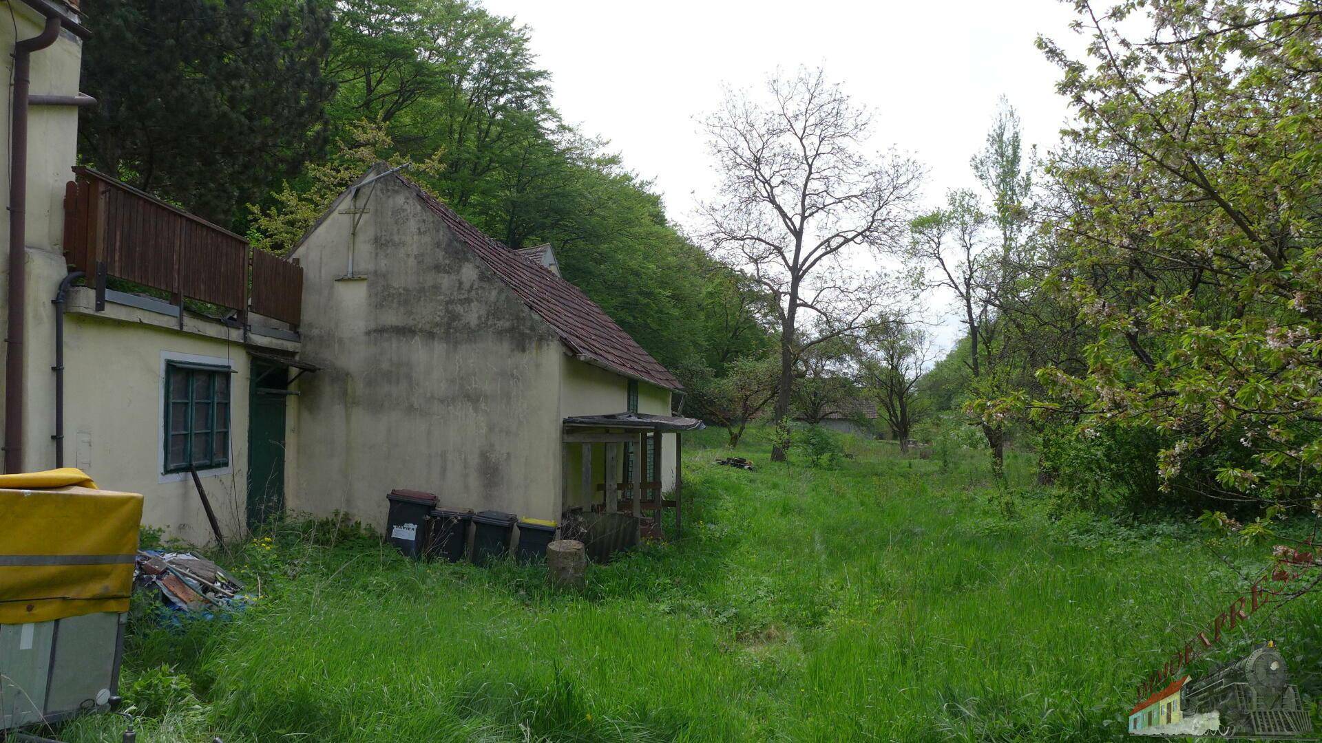 Rückansicht des alten Hauses mit verwildertem Gartenbereich und angrenzendem Wald.