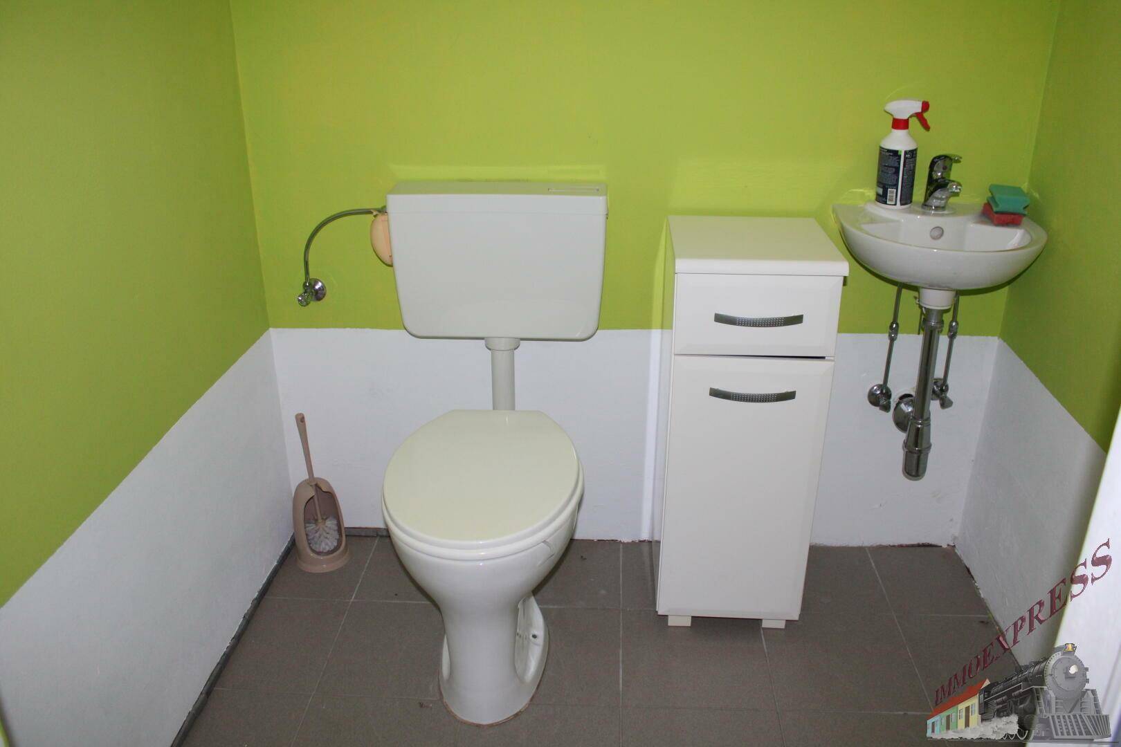 Separate Toilette mit grünen Wänden, WC und kleinem Waschbecken.