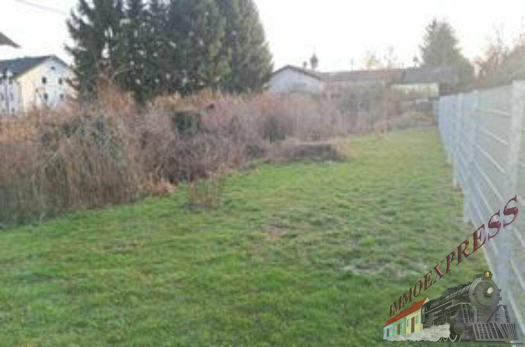 Große, naturbelassene Gartenfläche mit hohem Gras und dichten Büschen entlang eines Zauns.
