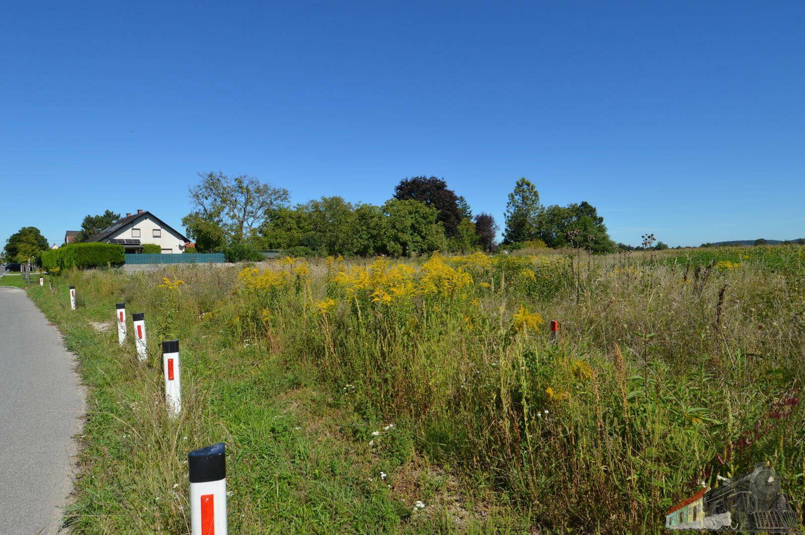 Unbebautes Grundstück an einer Straße mit weitem Blick über Felder und angrenzende Häuser.