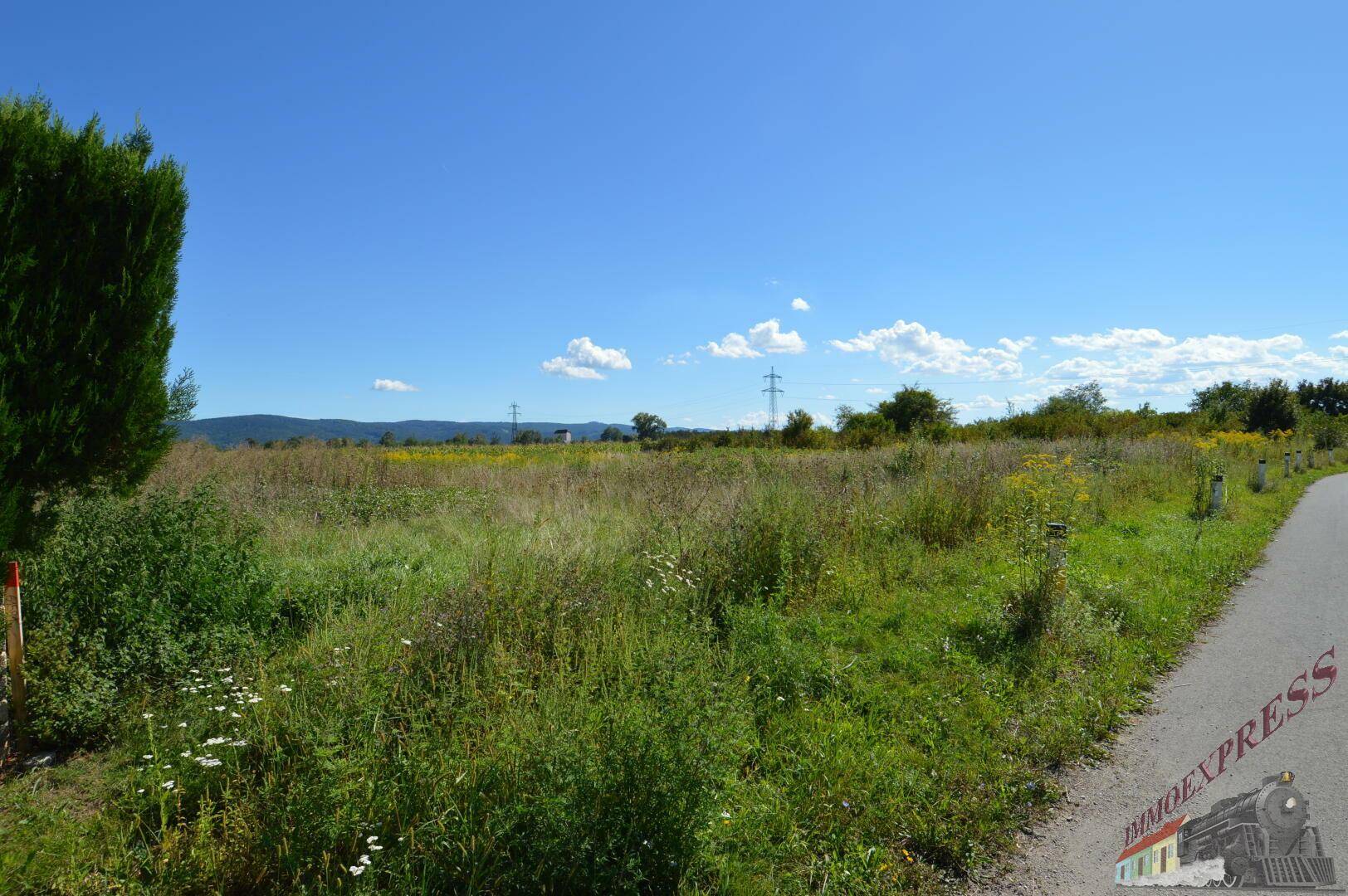 Offenes Feld mit einem Weg am Rand und Panoramablick auf die entfernten Berge und den blauen Himmel.