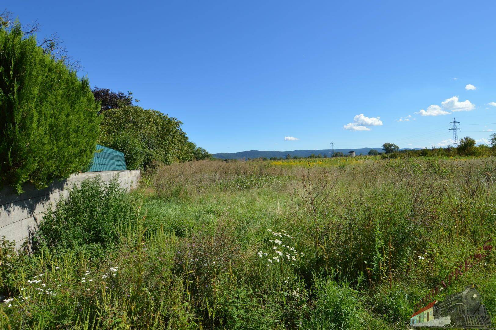 Grünes Grundstück mit Hecke im Vordergrund und weitem Blick auf die Landschaft und Berge.