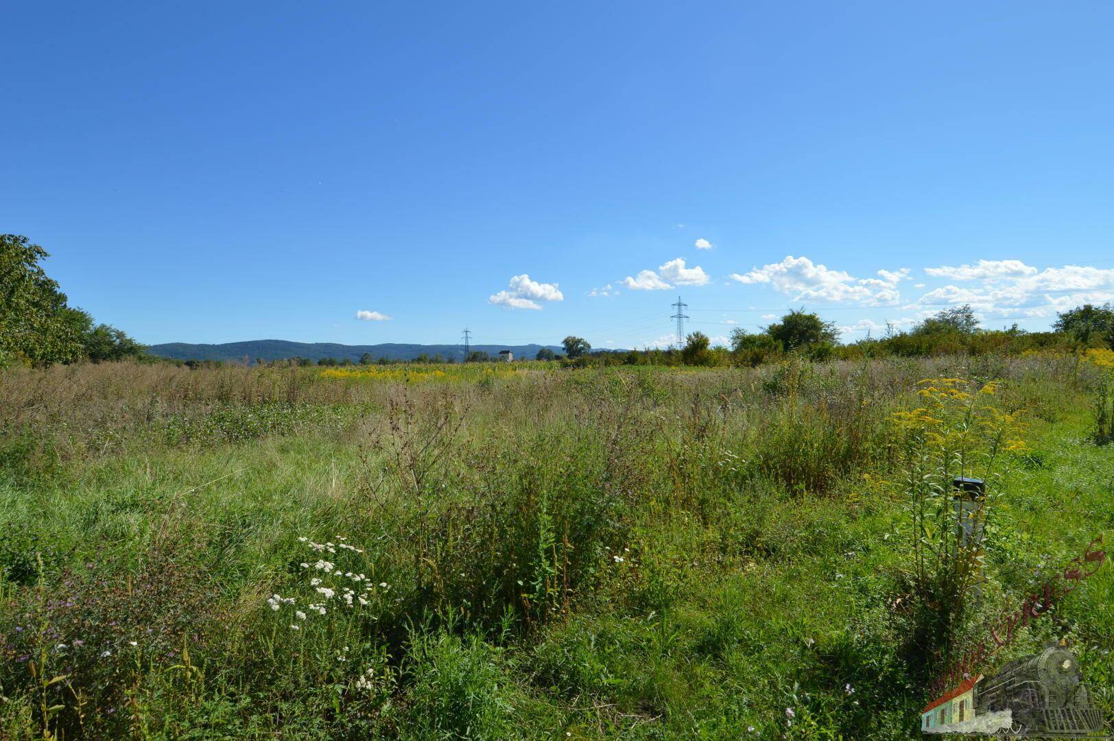 Weitläufiges Feld mit Blick auf eine Bergkette und Stromleitungen am Horizont unter blauem Himmel.