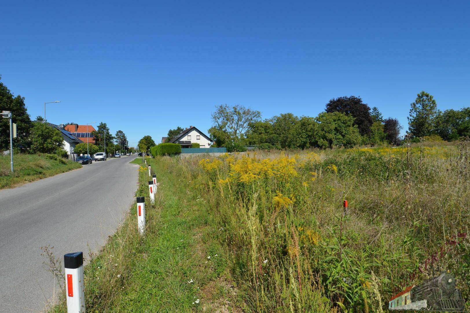 Grundstück neben einer Landstraße mit Blick auf die grüne Umgebung und Wohnhäuser.