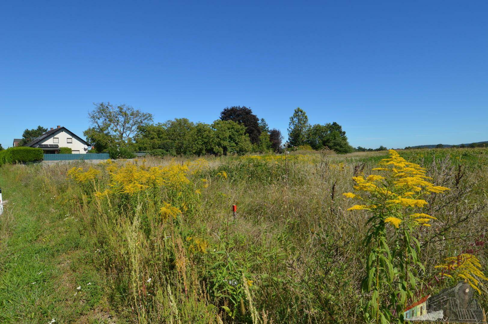 1.930 m² Grundstück umgeben von Feldern