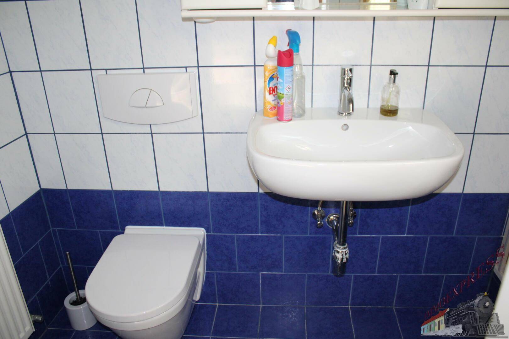 Separate Toilette mit blauen und weißen Fliesen, wandhängendem WC und Waschbecken.