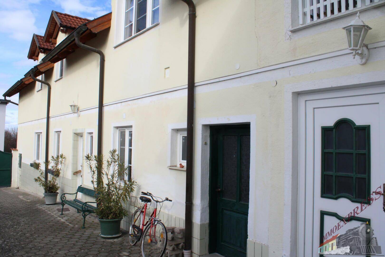 Eingangsbereich des Hauses mit grüner Tür und gepflastertem Weg, umgeben von Pflanzen.