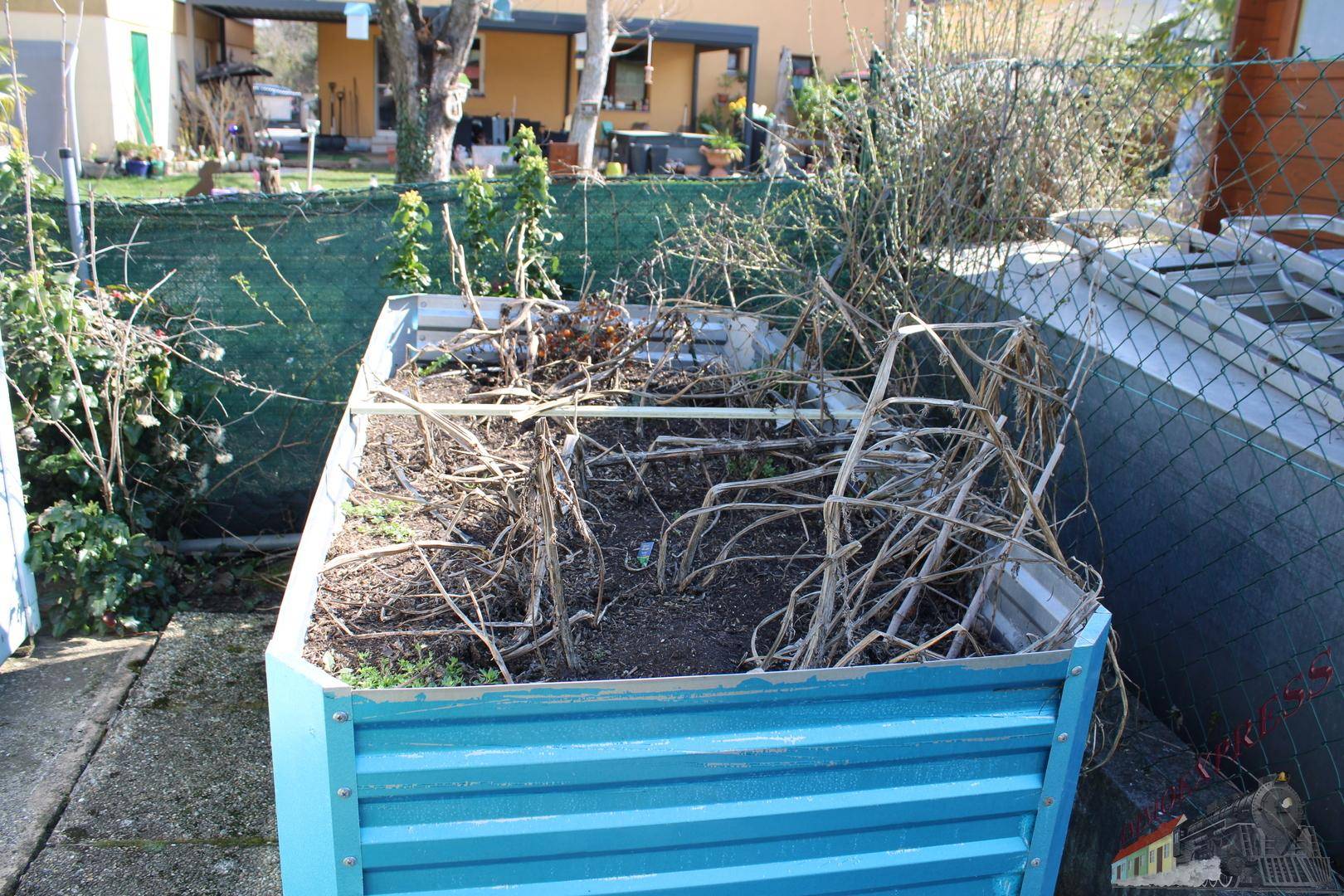 Erhöhtes Gartenbeet aus blauem Metall im Gartenbereich.