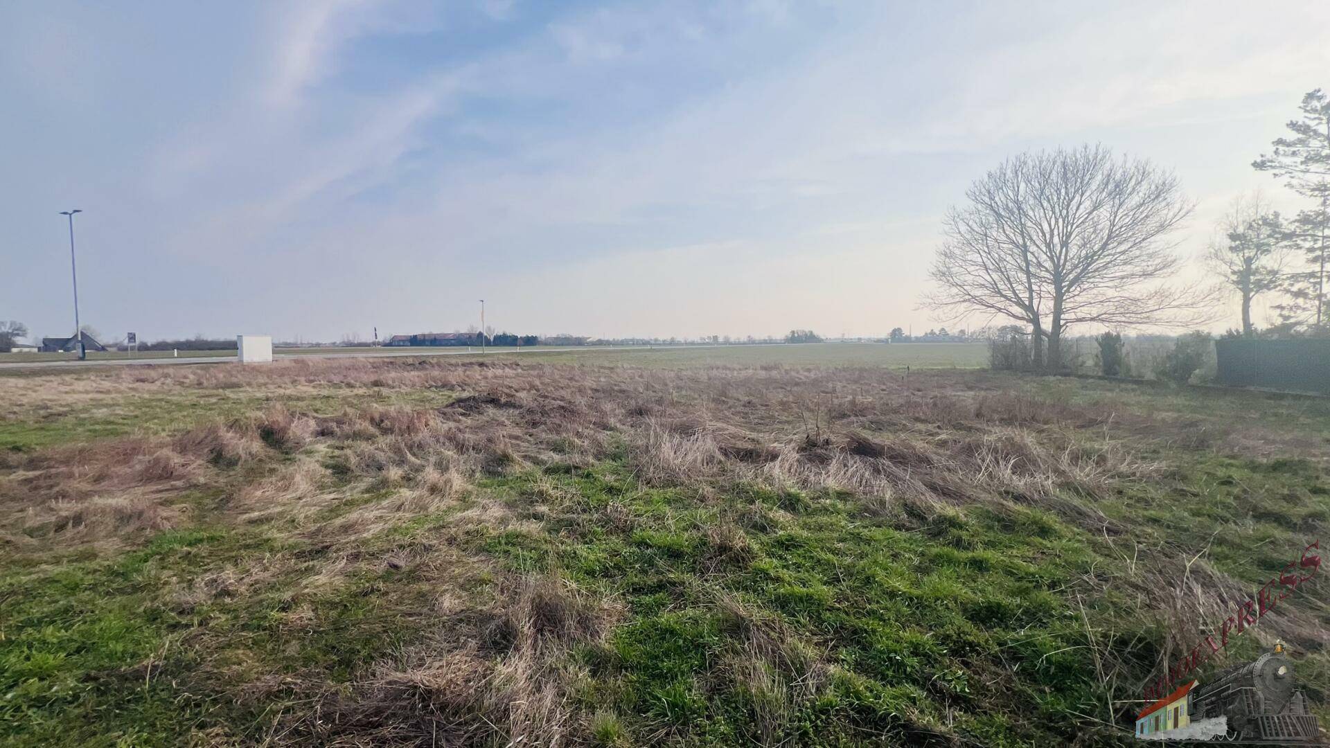 Weites Feld mit trockenem Gras und einem kahlen Baum unter einem bewölkten Himmel.