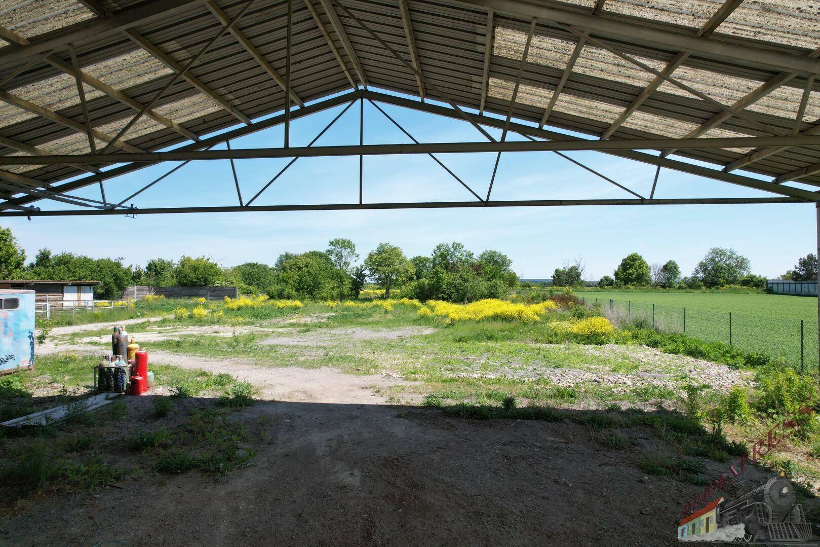 Blick aus einer offenen Halle auf eine weite Grünfläche mit gelben Blumen und Feldern im Hintergrund.
