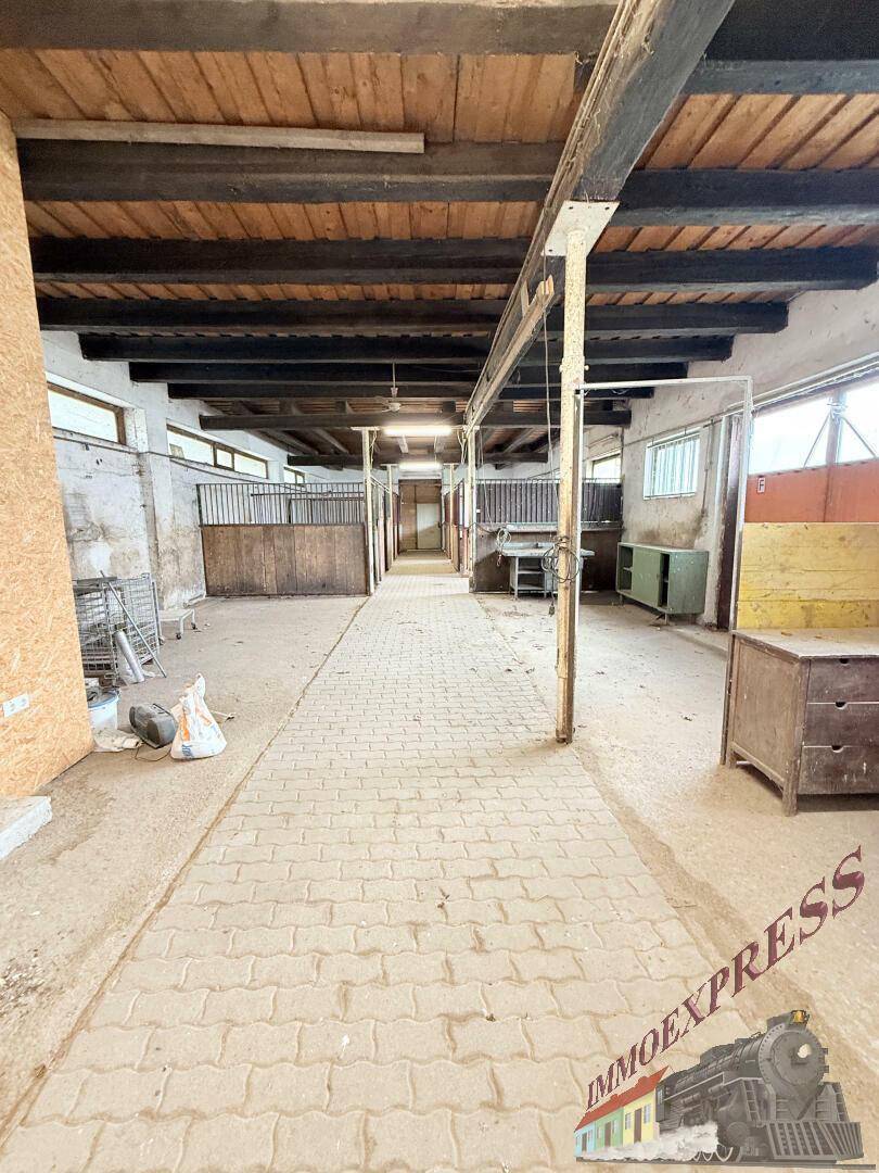 Innenansicht eines Stalls mit gepflastertem Gang, Holzboxen und sichtbaren Holzbalken an der Decke.