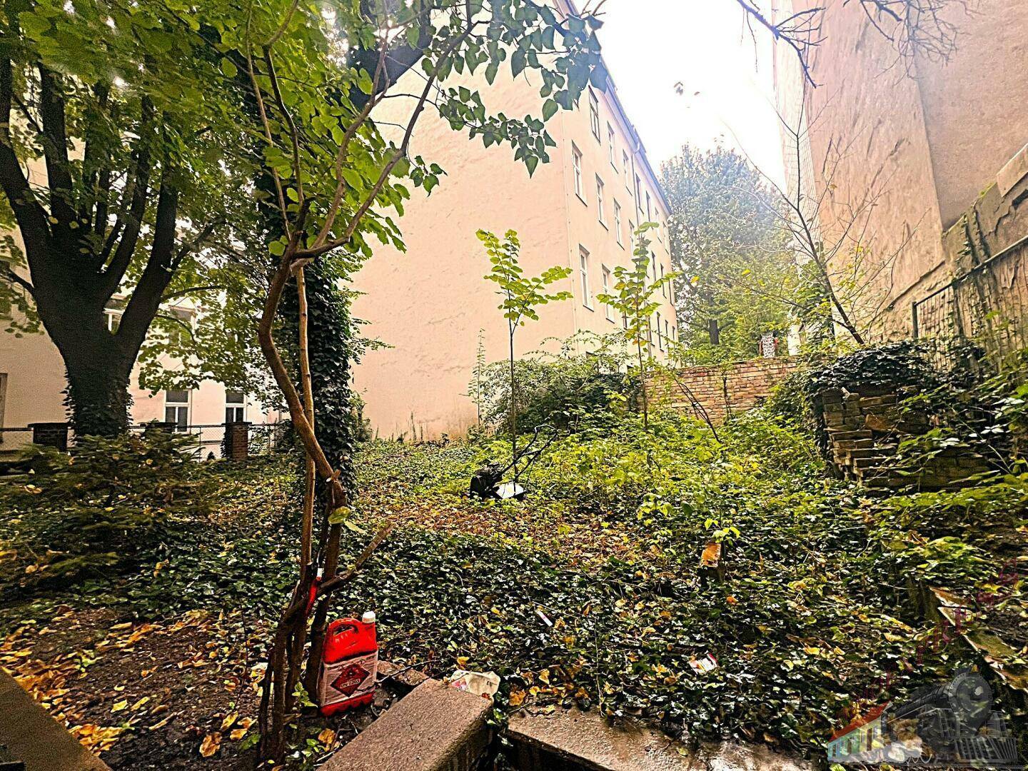 Überwucherter Gartenbereich mit viel Grün und alten Gebäuden im Hintergrund, der Pflege benötigt.