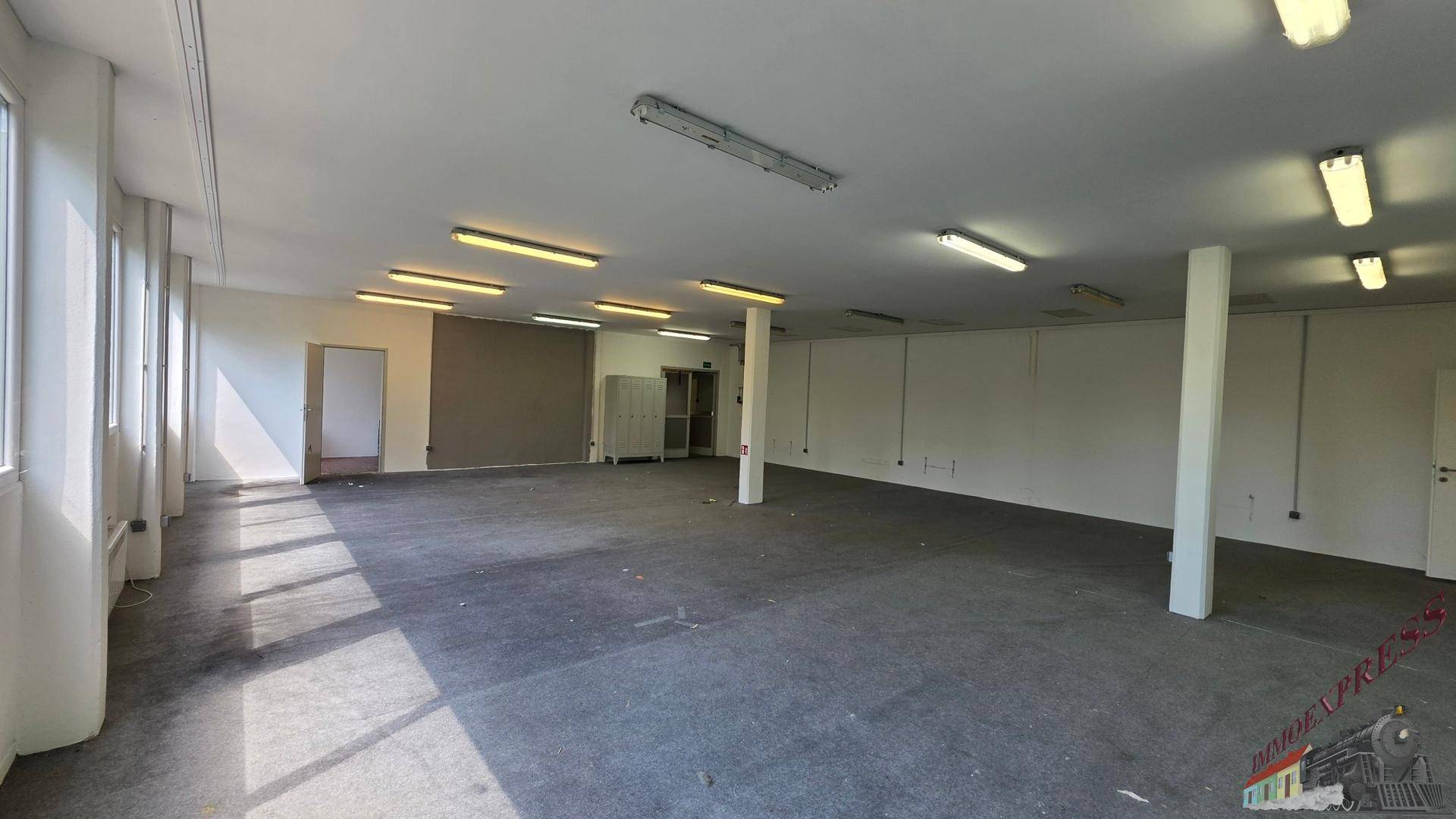 Großer, leerer Gewerberaum mit dunklem Teppichboden, weißen Wänden und viel natürlichem Sonnenlicht.