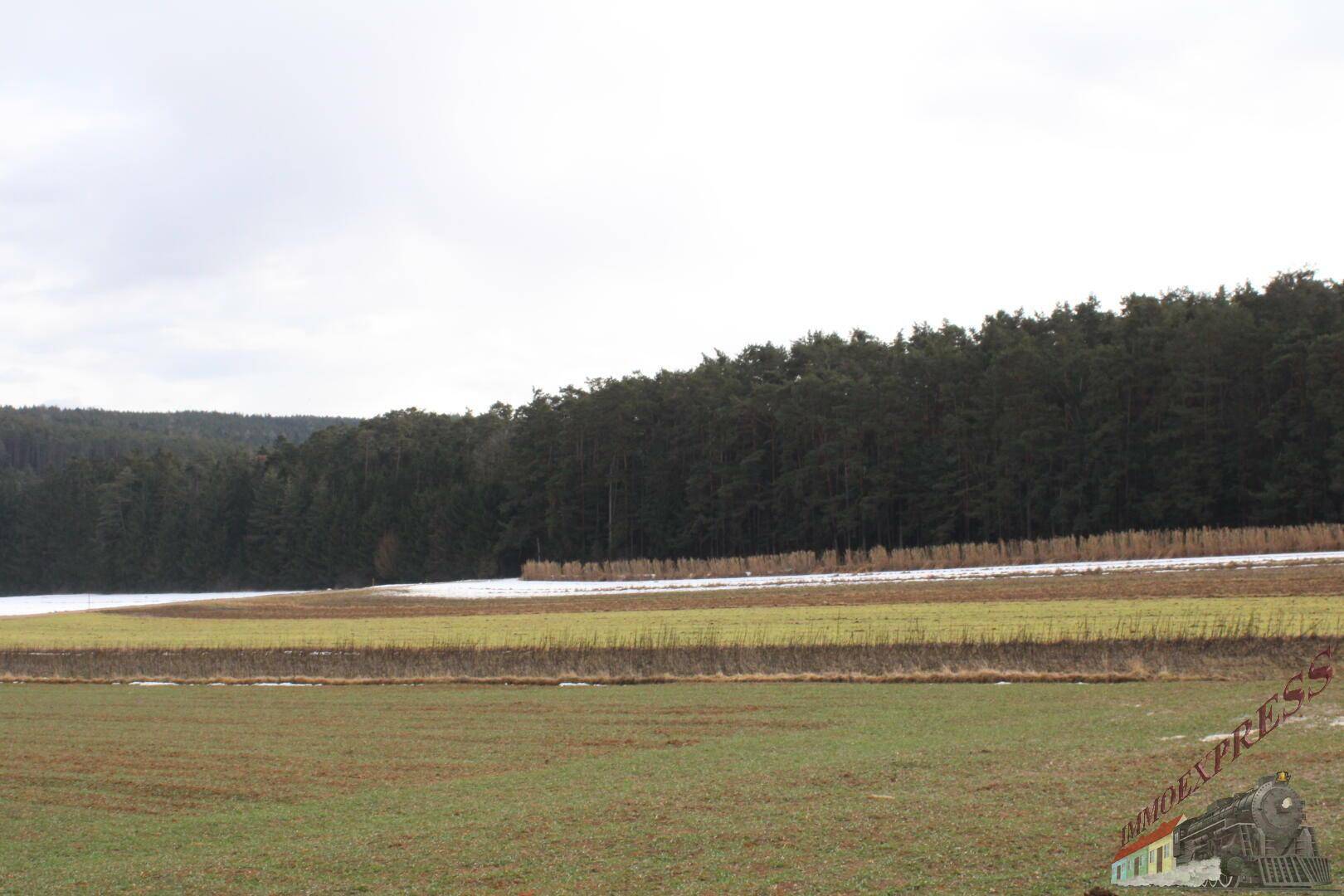 Weitläufige Landschaft mit Feldern und Waldrand unter bewölktem Himmel.