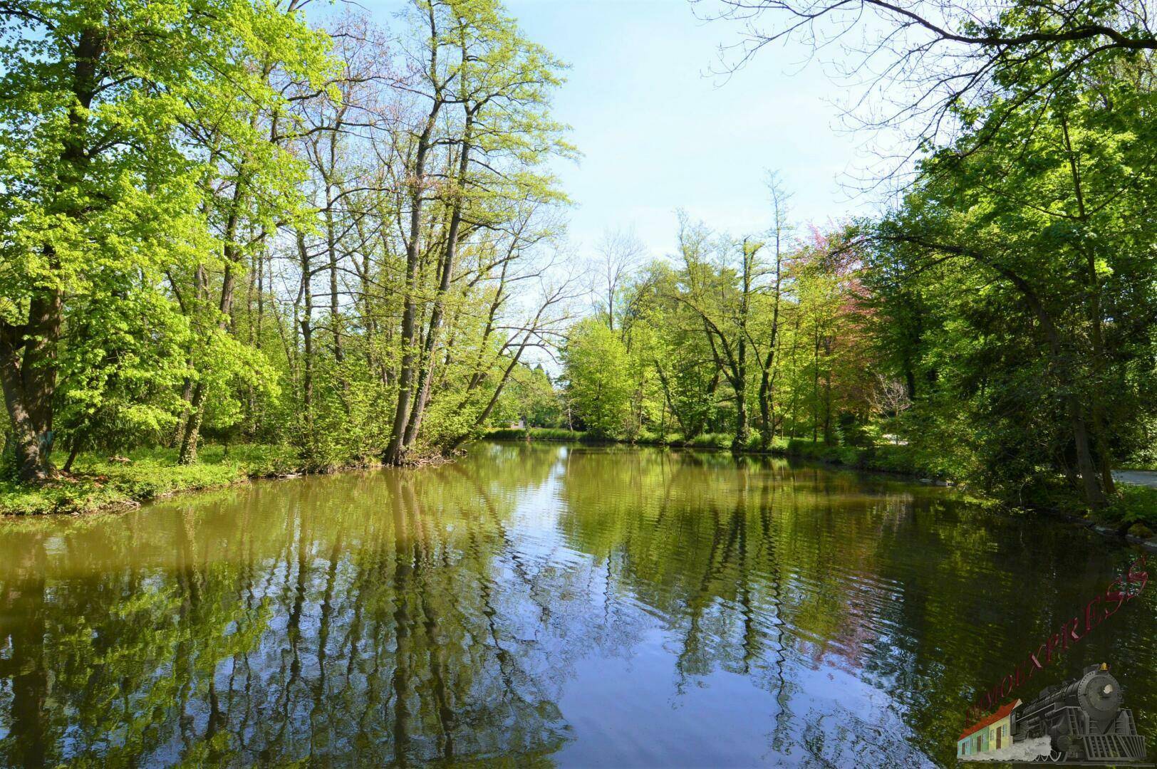 Ruhiger Teich umgeben von üppigem Grün und hohen Bäumen unter blauem Himmel.