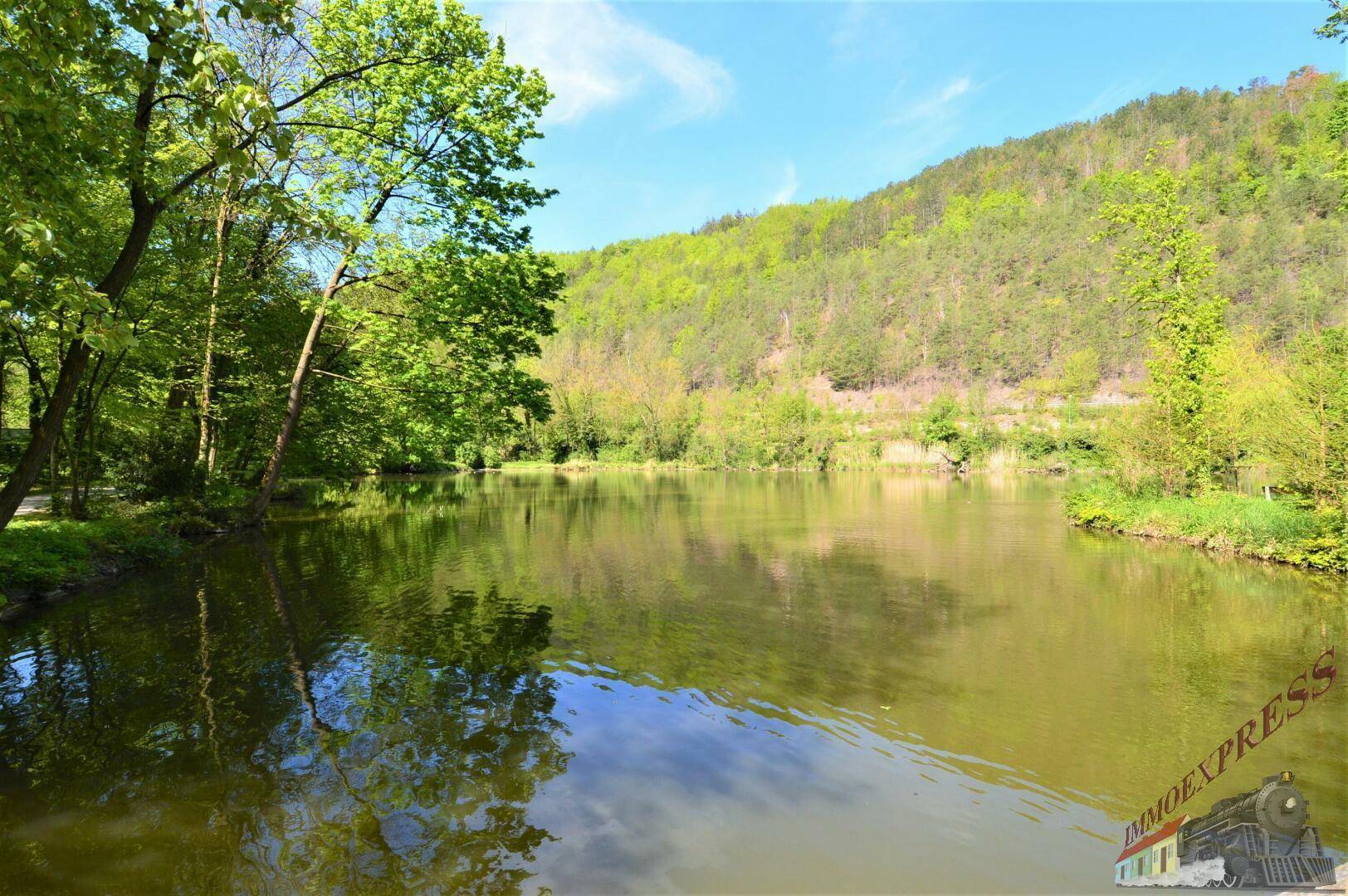 Malerischer Teich mit Spiegelungen der Bäume und einem bewaldeten Hügel im Hintergrund.
