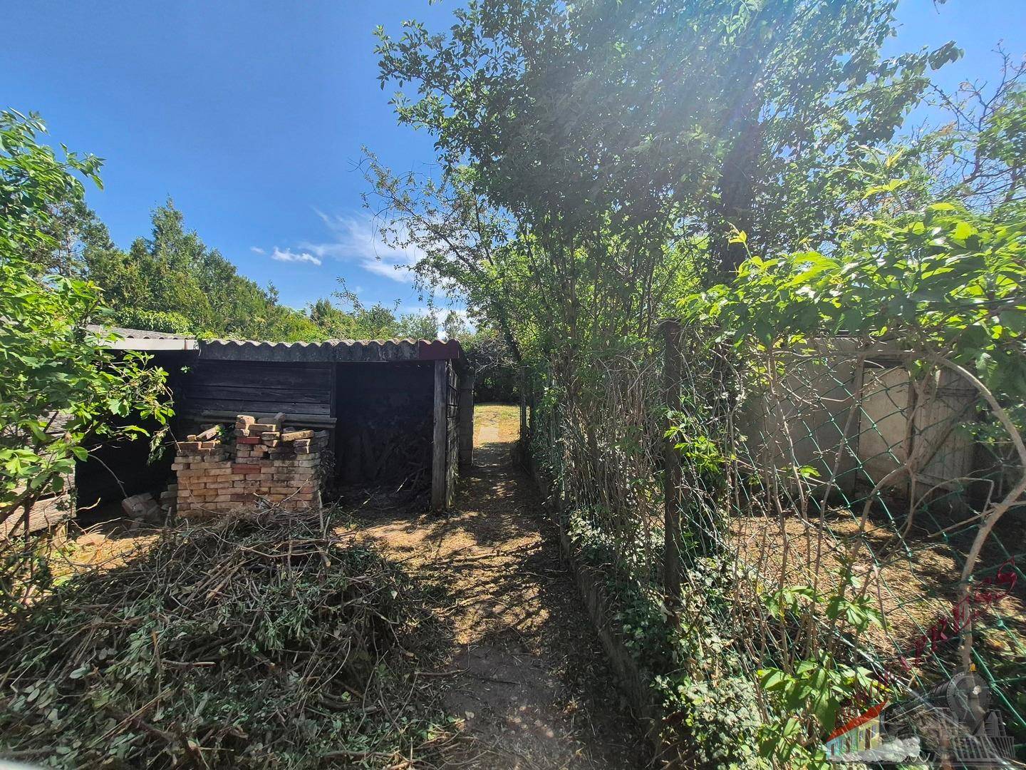 Gartenbereich mit einem weiteren Schuppen und viel Grün, das auf eine Neugestaltung wartet.