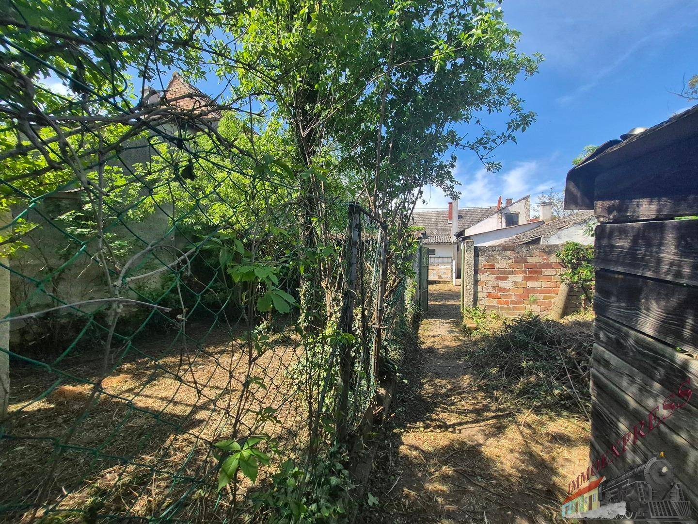 Überwachsener Gartenweg mit Maschendrahtzaun und Blick auf weitere Gebäude im Hintergrund.