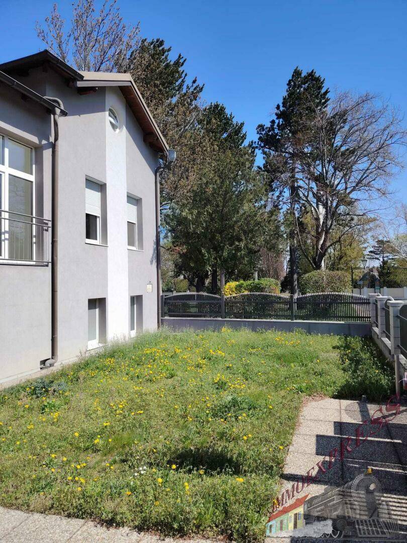 Tolles Mehrfamilienhaus bietet vielfache Nutzungsmöglichkeit auf 3 Etagen – zentrale Lage! - Ansicht 3
